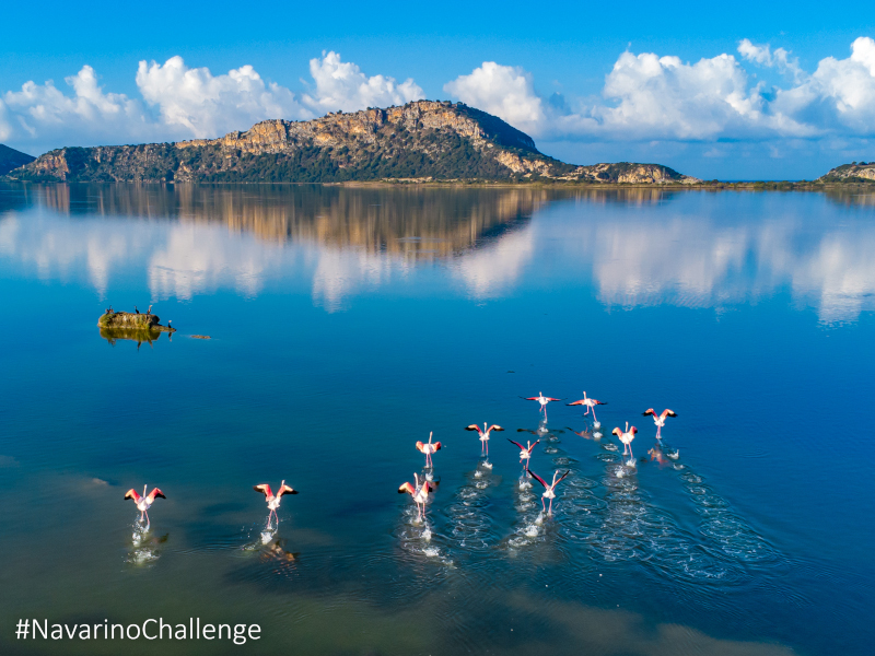 Πάνω από 3.500 συμμετοχές και 55 δράσεις στο Navarino Challenge 2023